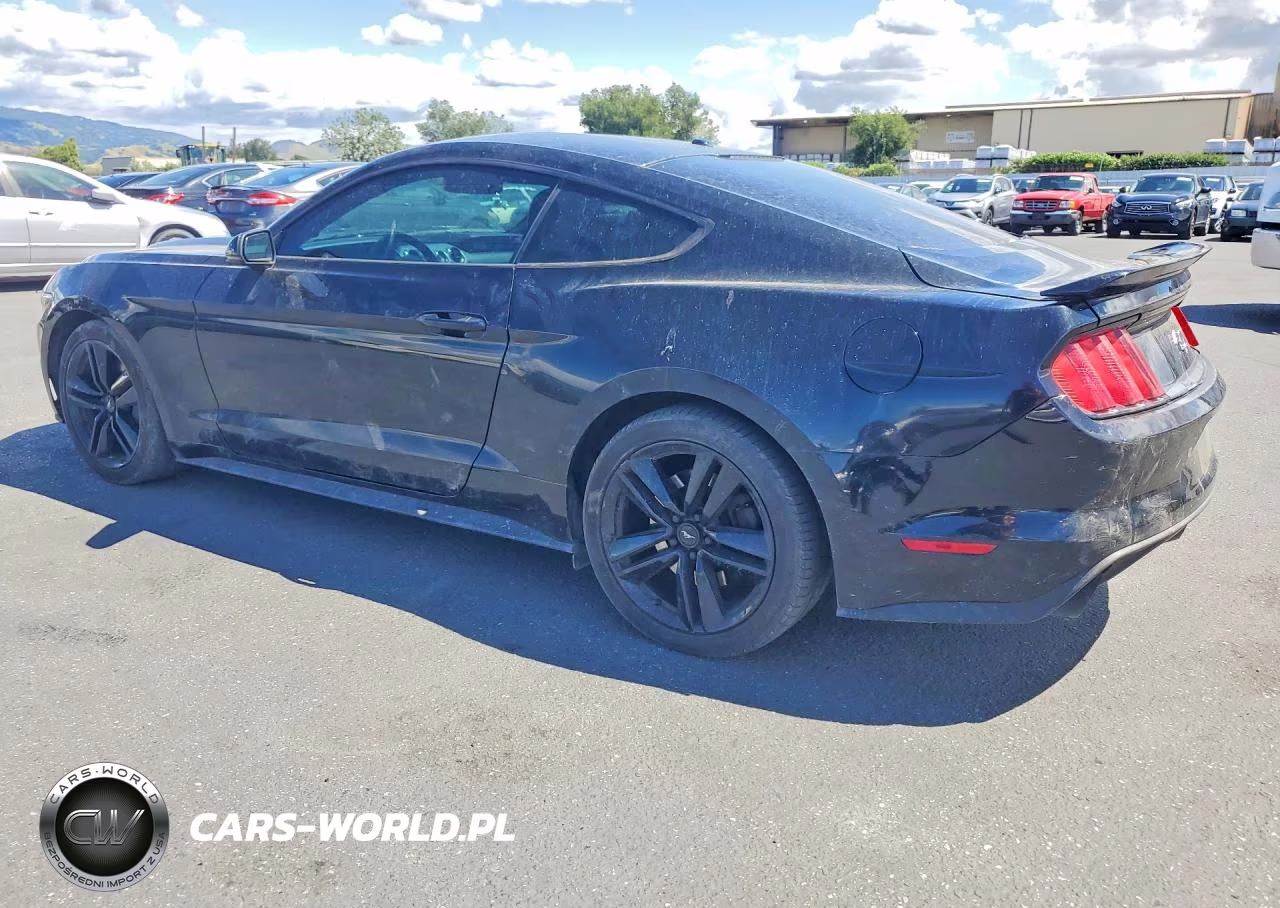FORD MUSTANG VIN:1FA6P8TH7F5360101 - 2