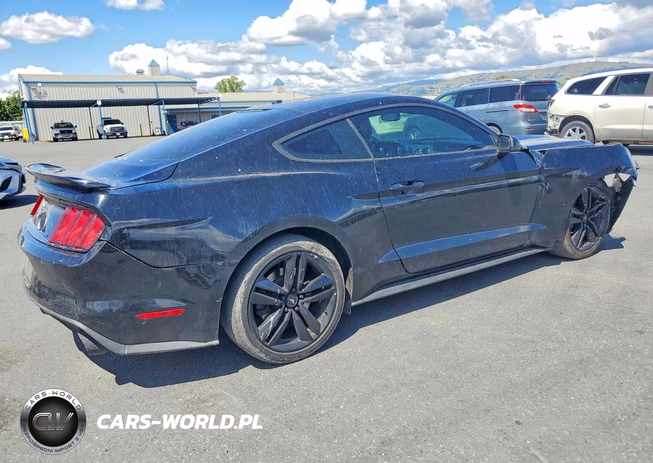 FORD MUSTANG VIN:1FA6P8TH7F5360101 - 3