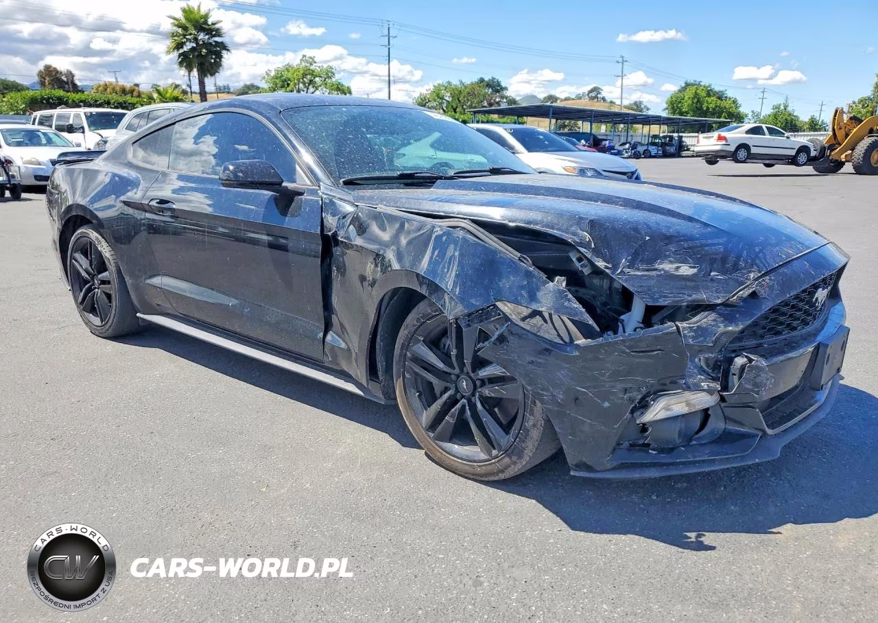 FORD MUSTANG VIN:1FA6P8TH7F5360101 - 4