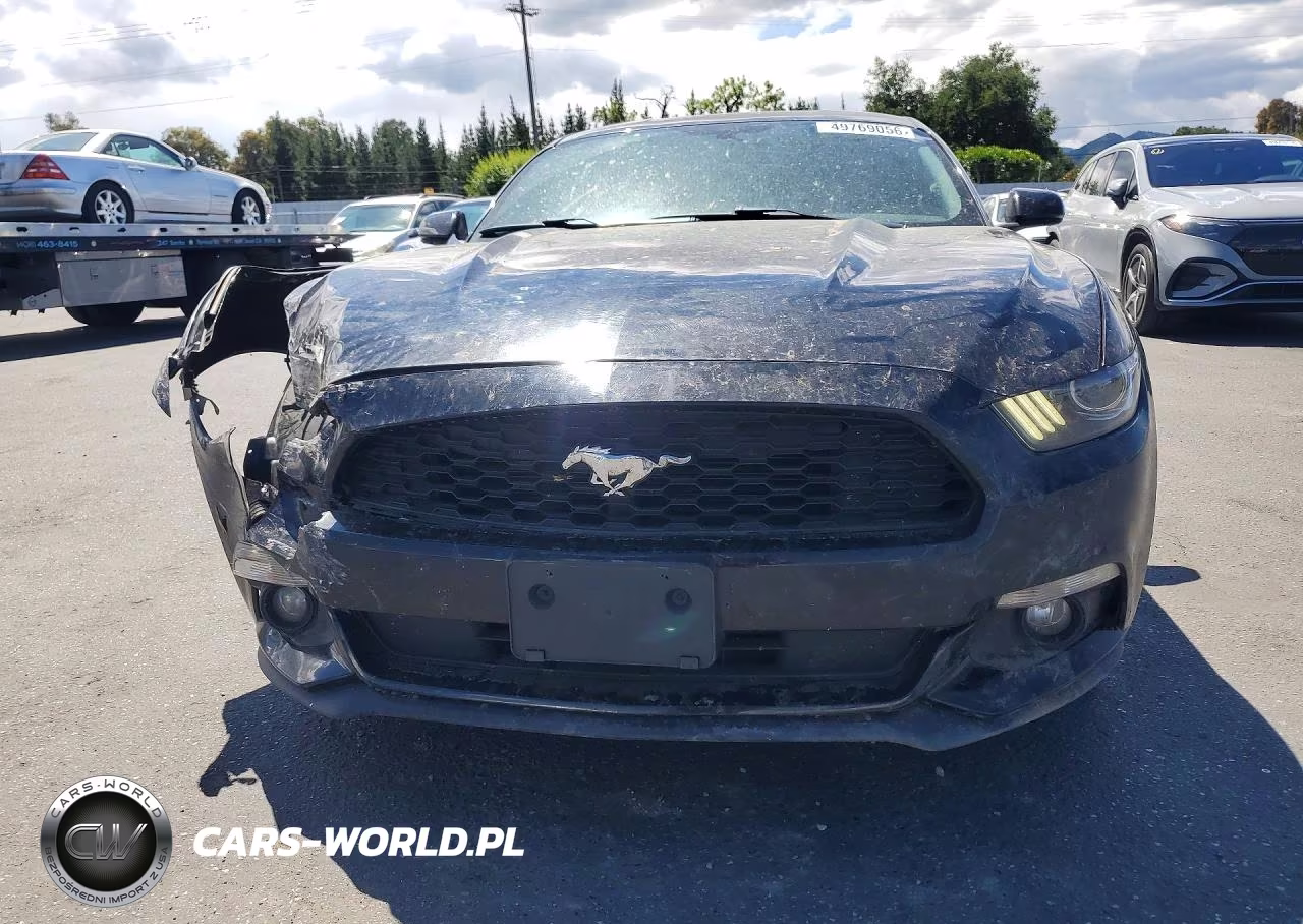 FORD MUSTANG VIN:1FA6P8TH7F5360101 - 5