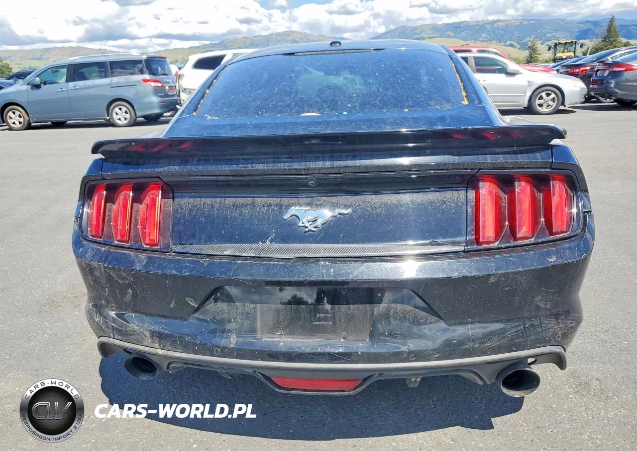 FORD MUSTANG VIN:1FA6P8TH7F5360101 - 6