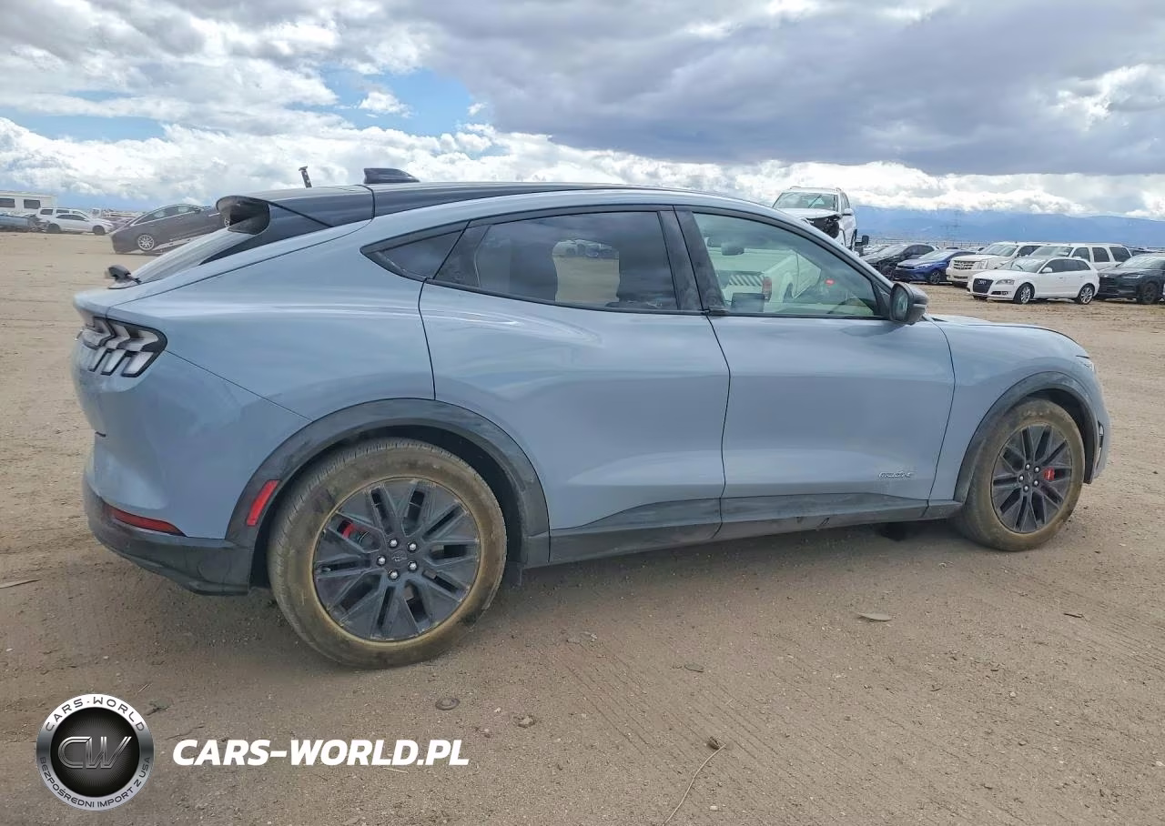 2025 Ford Mustang Mach-E Premium VIN:3FMTK3R45SMA15166 - 3