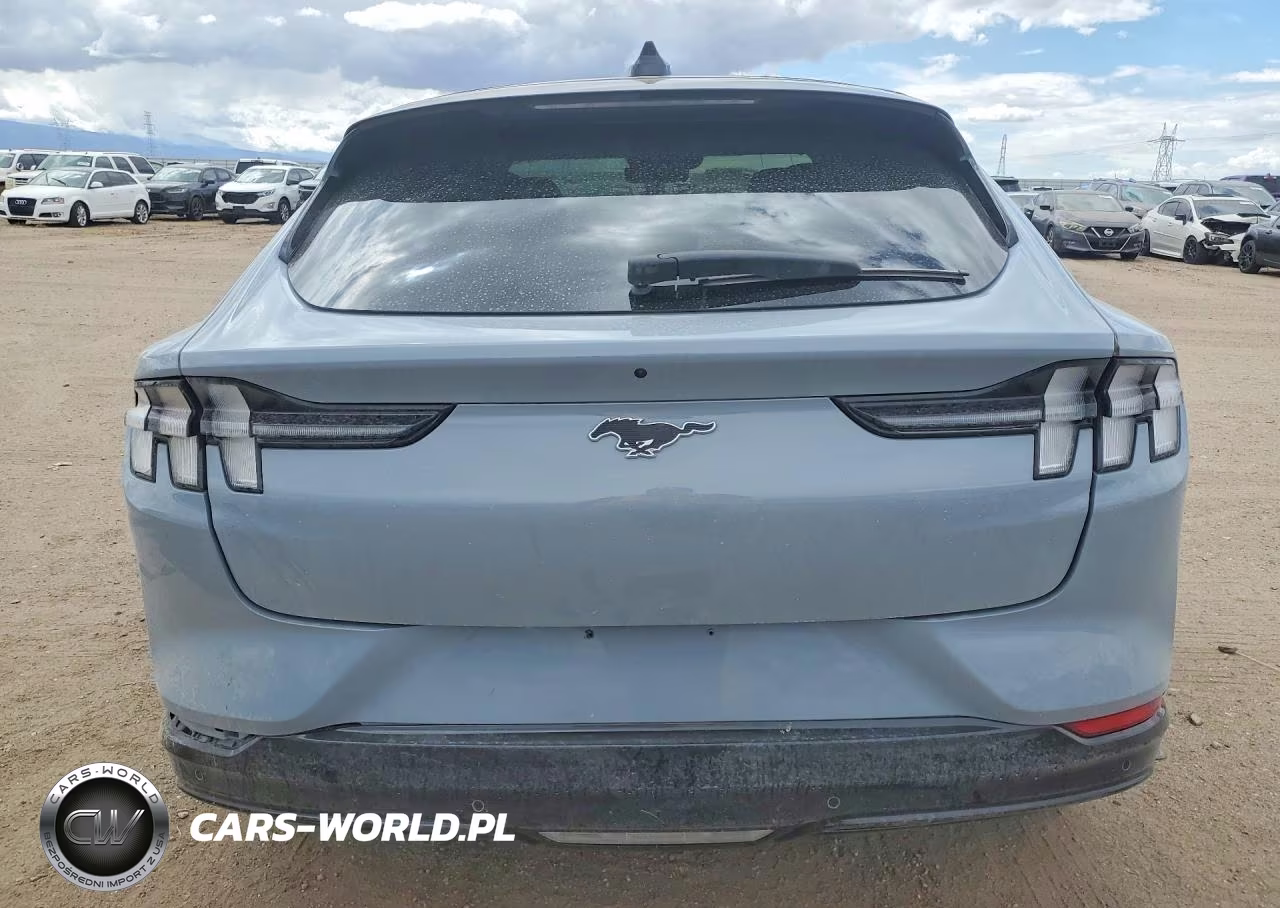 2025 Ford Mustang Mach-E Premium VIN:3FMTK3R45SMA15166 - 6