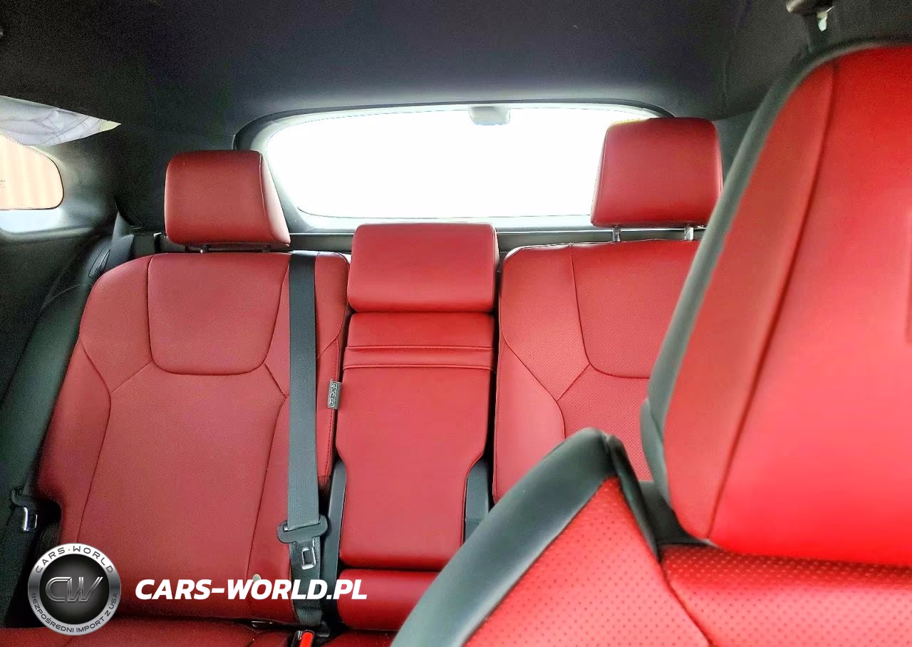 2024 Lexus Rx 350 F Sport Handling VIN:2T2BAMCA8RC064674 - 10