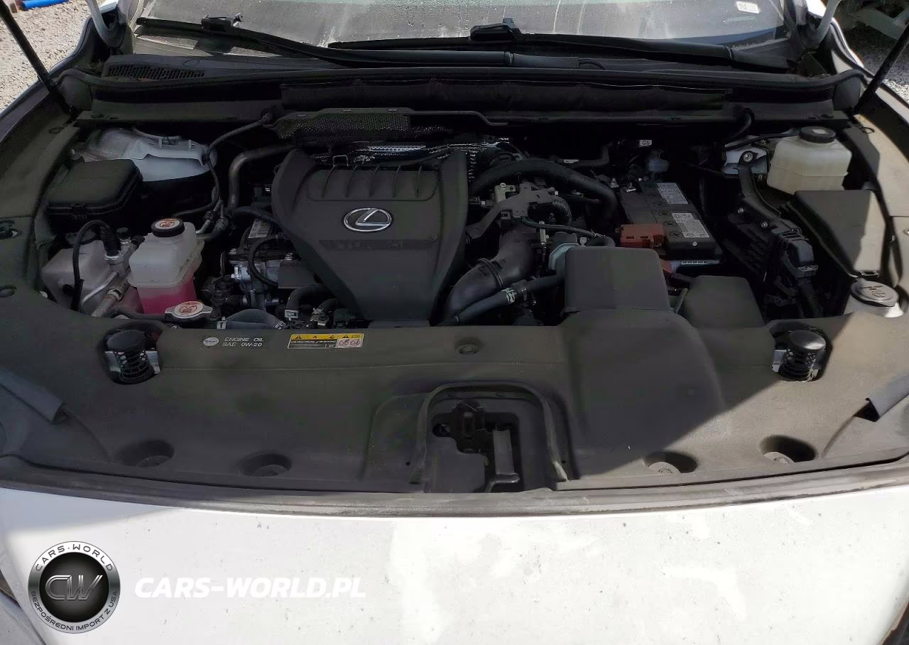 2024 Lexus Rx 350 F Sport Handling VIN:2T2BAMCA8RC064674 - 12