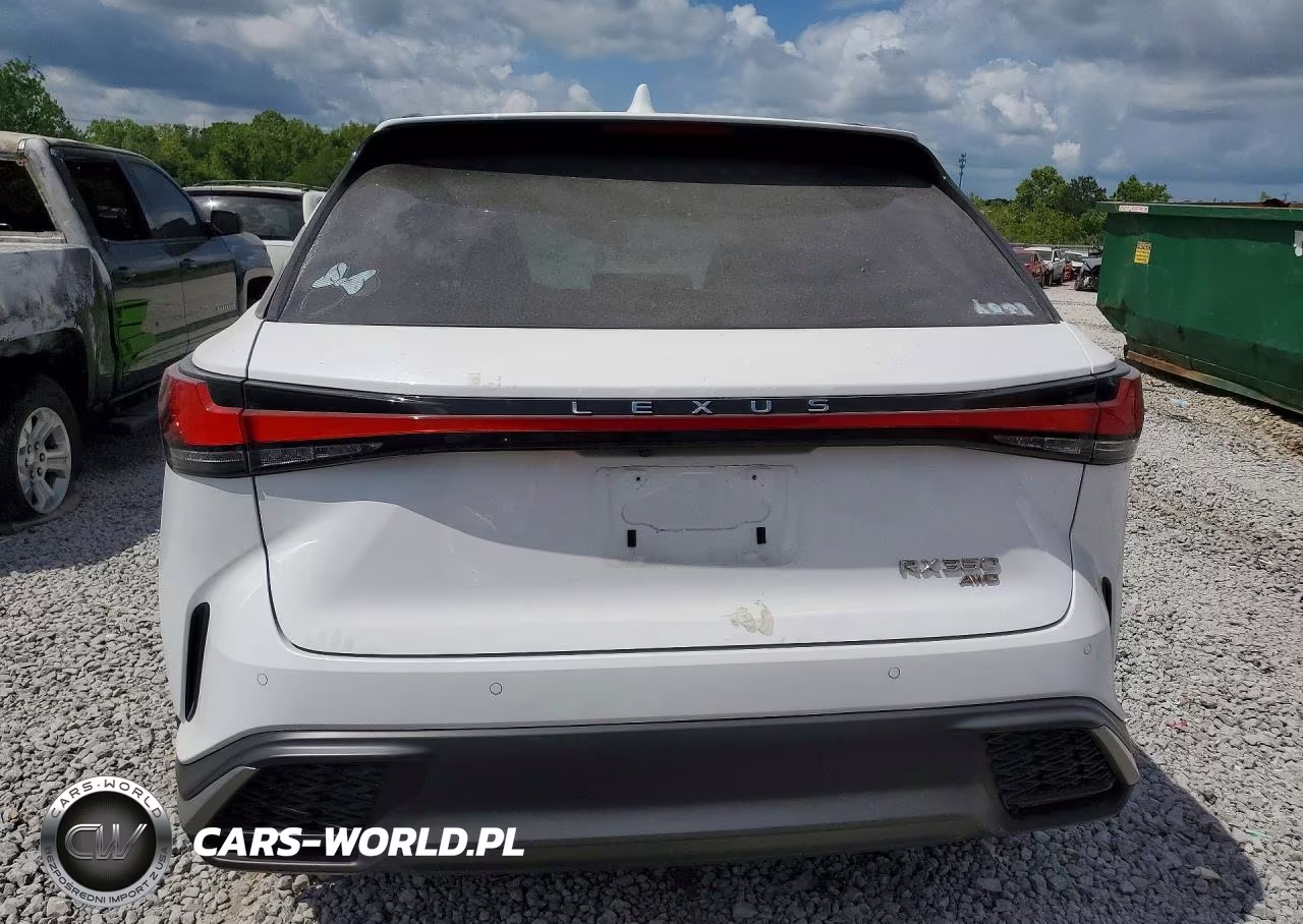 2024 Lexus Rx 350 F Sport Handling VIN:2T2BAMCA8RC064674 - 6