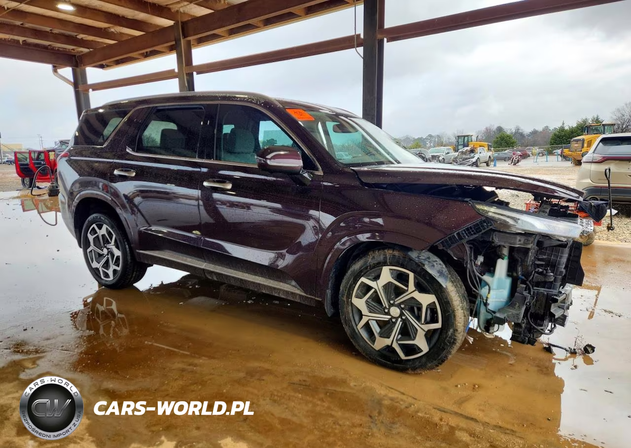 2022 Hyundai Palisade Calligraphy VIN:KM8R74HE0NU471586 - 4