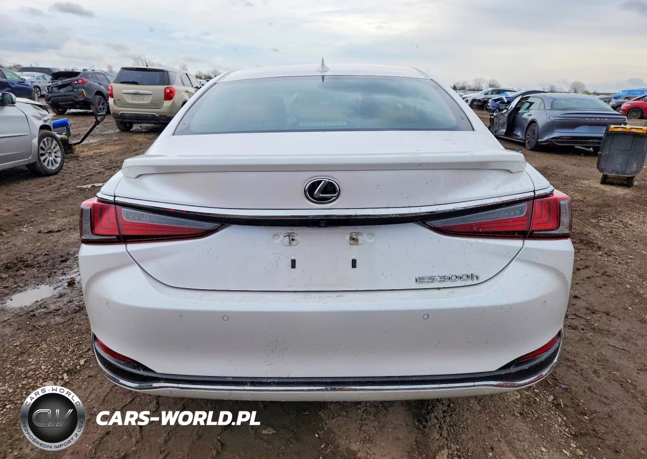 2024 Lexus Es 300H Base VIN:58ADA1C12RU037618 - 6