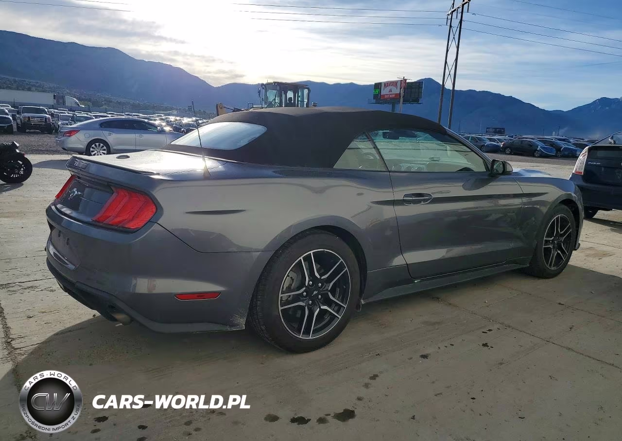 2023 Ford Mustang VIN:1FATP8UH7P5111669 - 3
