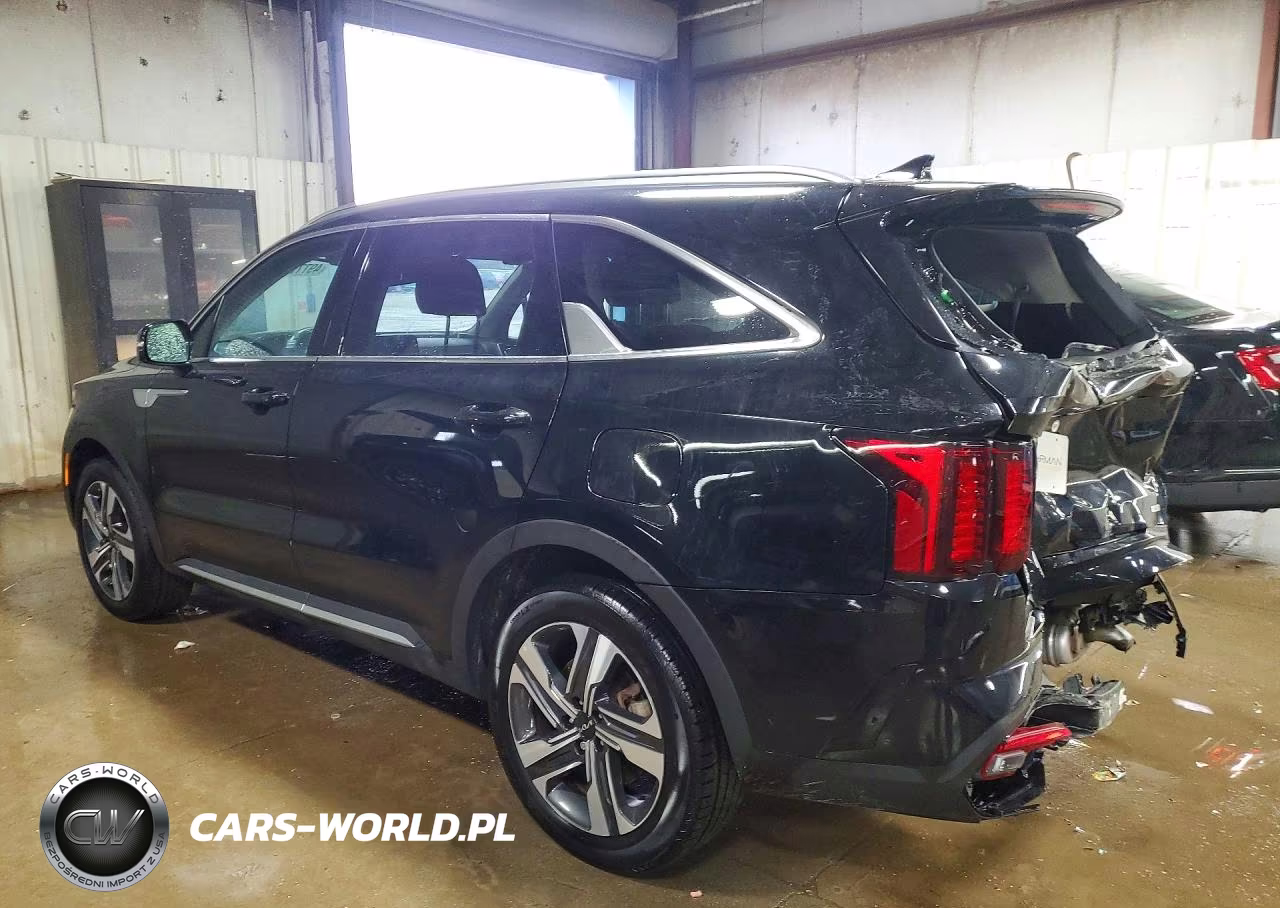 2023 Kia Sorento Ex VIN:KNDRHDLG7P5206784 - 2