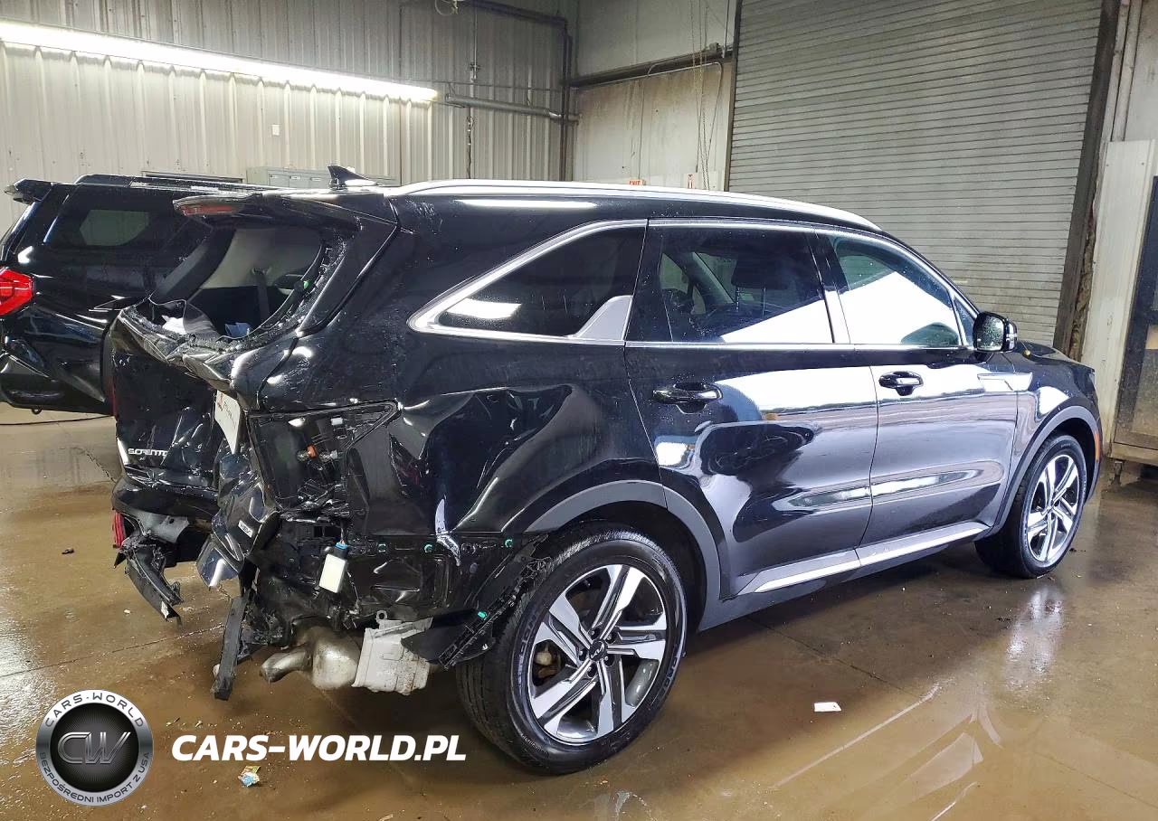 2023 Kia Sorento Ex VIN:KNDRHDLG7P5206784 - 3