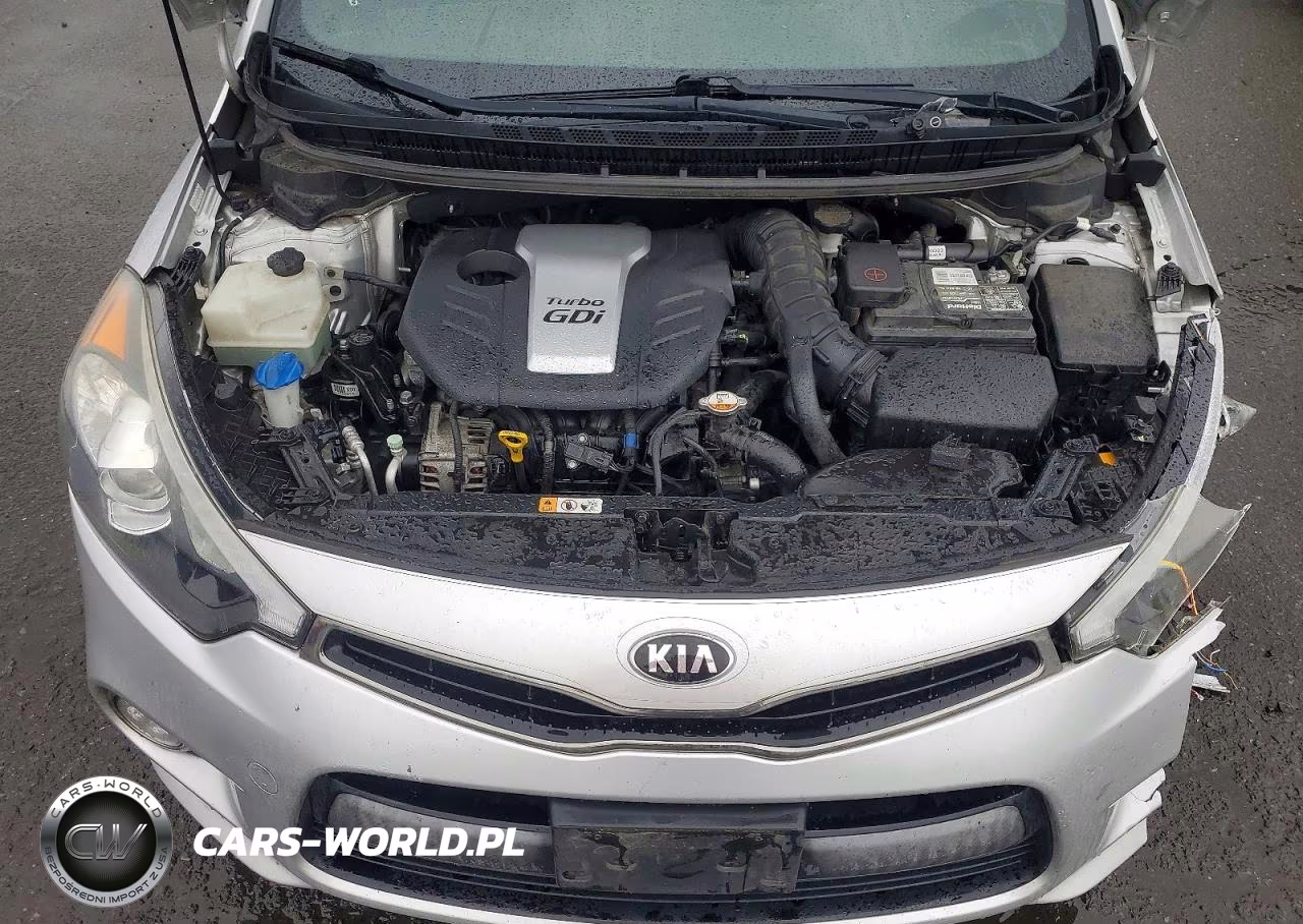 2015 Kia Forte Sx VIN:KNAFZ5A36F5285902 - 11