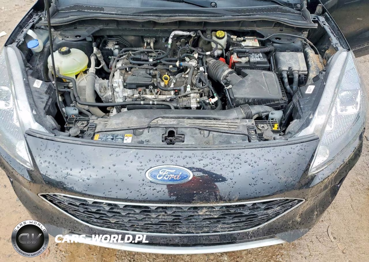 2021 Ford Escape Sel VIN:1FMCU9H60MUA64838 - 12