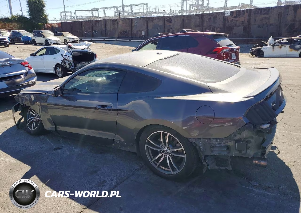 2017 Ford Mustang VIN:1FA6P8TH5H5239439 - 2
