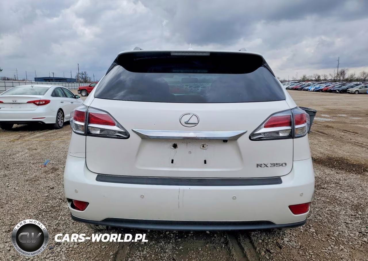 2013 Lexus Rx 350 Base VIN:2T2BK1BAXDC202916 - 6