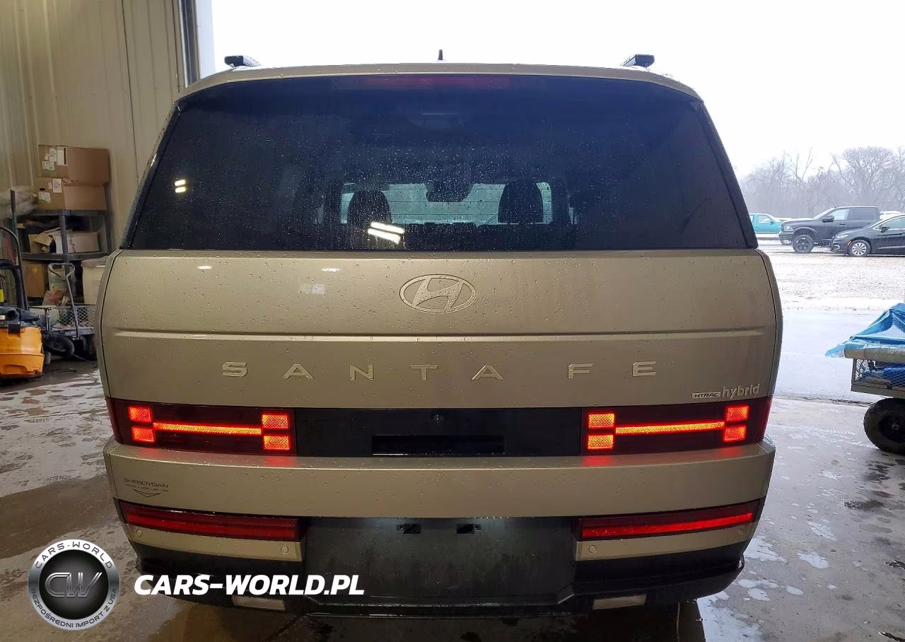 2024 Hyundai Santa Fe Limited VIN:5NMP3DG15RH002836 - 6