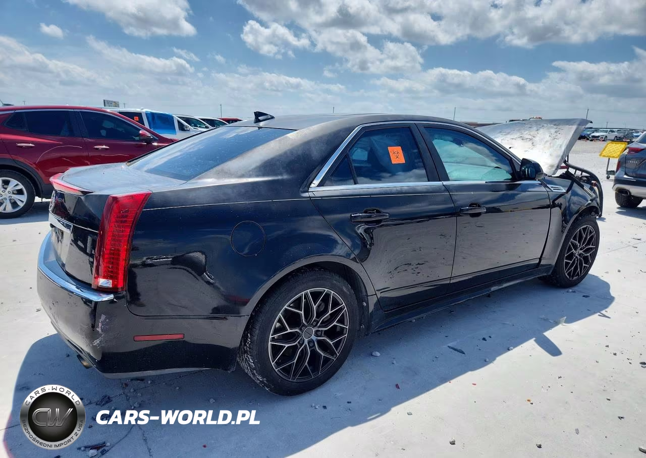 2010 Cadillac Cts Luxury Collection VIN:1G6DE5EGXA0135819 - 3