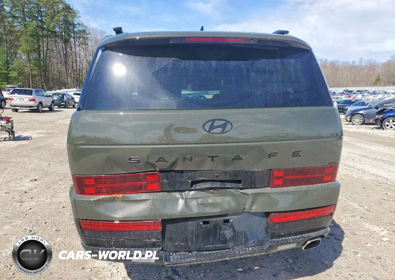 2026 Hyundai Santa Fe Calligraphy VIN:5NMP5DGL4TH183477 - 6