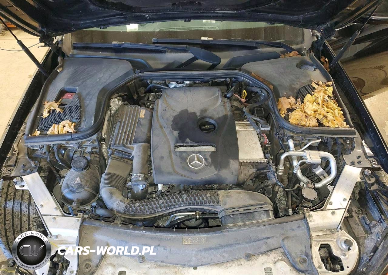 2017 Mercedes-Benz E 300 VIN:WDDZF4JB2HA111223 - 11