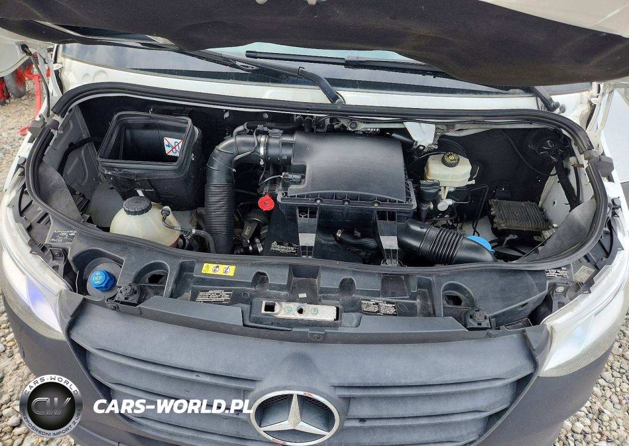2021 Mercedes Benz Sprinter 2500 Delivery Van VIN:W1Y4DCHY8MT047102 - 12