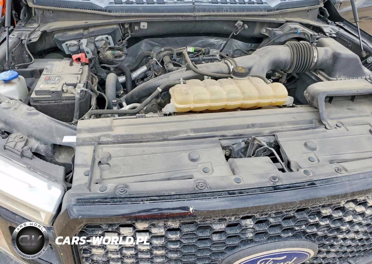 2019 Ford F150 Supercrew VIN:1FTEW1EP6KKE46662 - 11