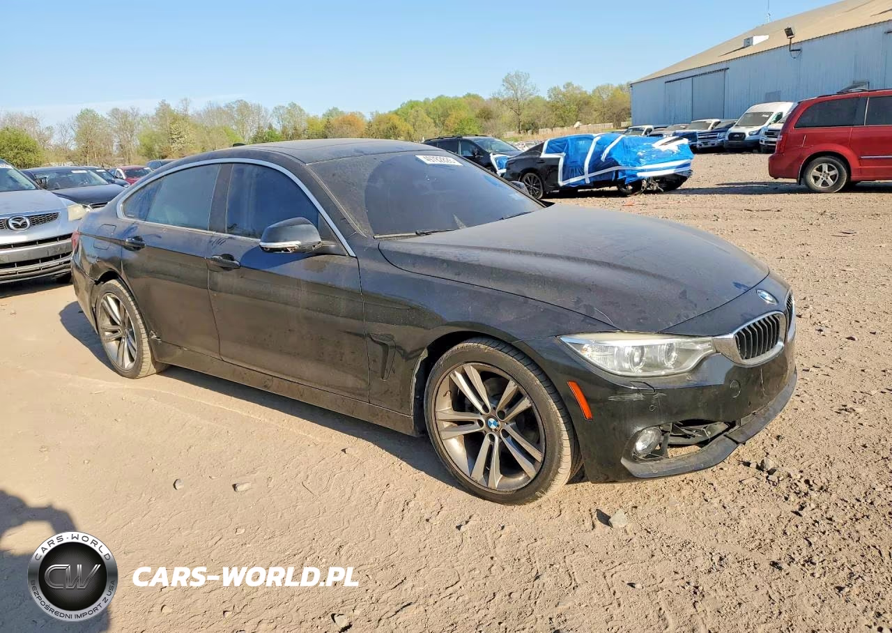 2016 BMW 428 Xi Gran Coupe Sulev VIN:WBA4C9C57GG140937 - 4