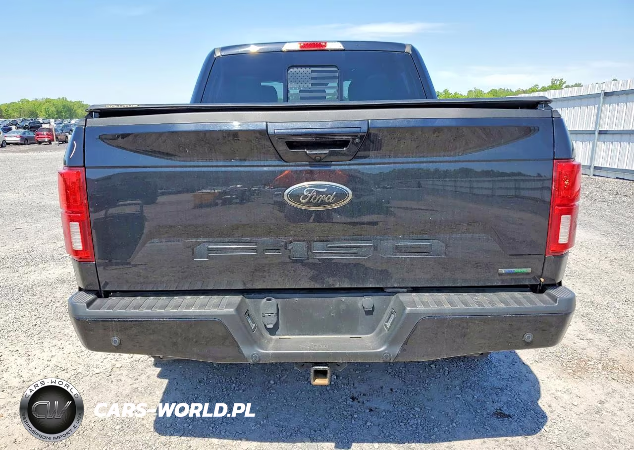 2020 Ford F150 Supercrew VIN:1FTEW1E48LFA88688 - 6