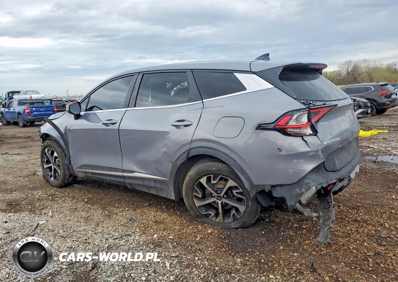 2023 Kia Sportage Ex VIN:5XYK33AF3PG029114 - 2