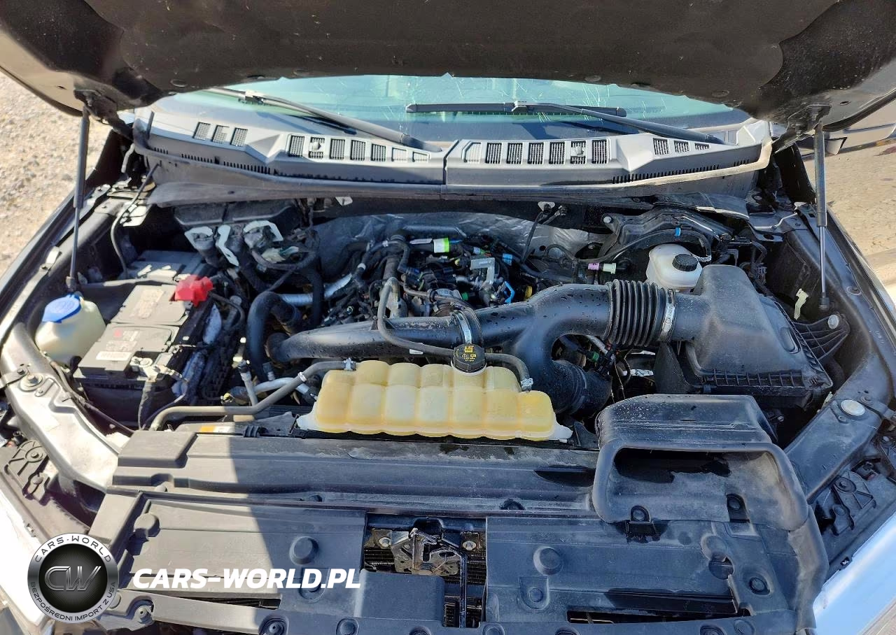 2019 Ford F150 Supercrew VIN:1FTEW1EP8KFC25573 - 11