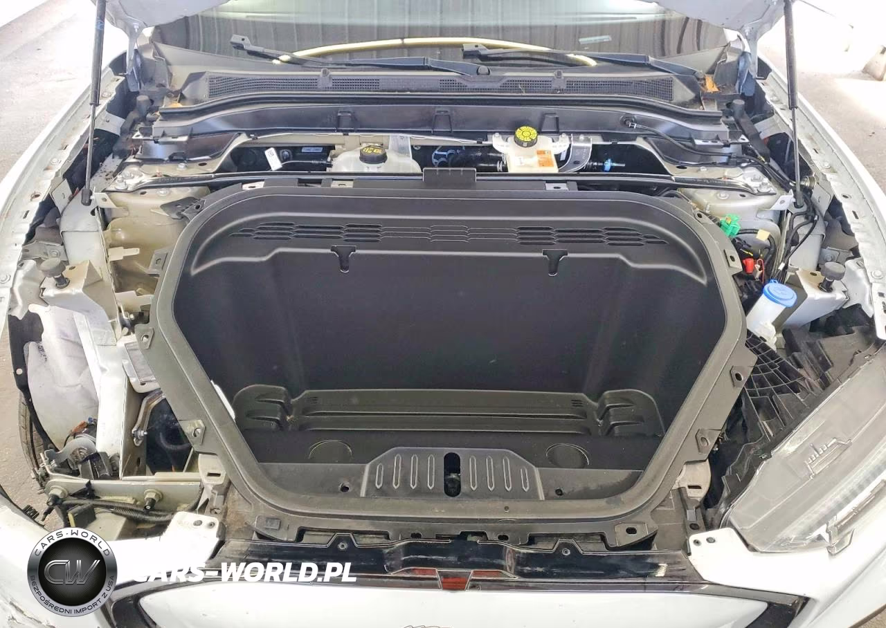 2023 Ford Mustang Mach-E Premium VIN:3FMTK3SU2PMB06252 - 12
