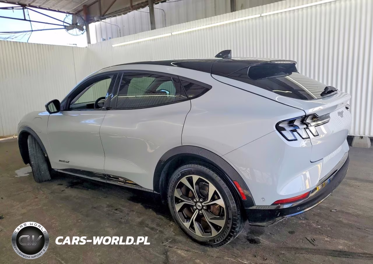 2023 Ford Mustang Mach-E Premium VIN:3FMTK3SU2PMB06252 - 2