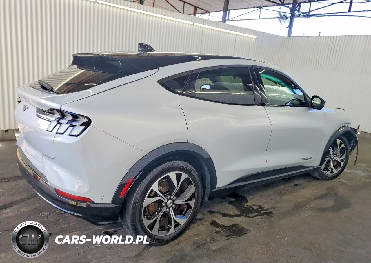 2023 Ford Mustang Mach-E Premium VIN:3FMTK3SU2PMB06252 - 3