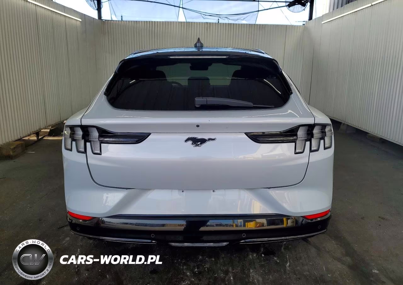 2023 Ford Mustang Mach-E Premium VIN:3FMTK3SU2PMB06252 - 6