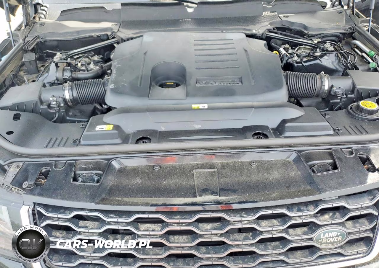 2019 Land Rover Range Rover Sport Hse VIN:SALWR2RU6KA863280 - 12