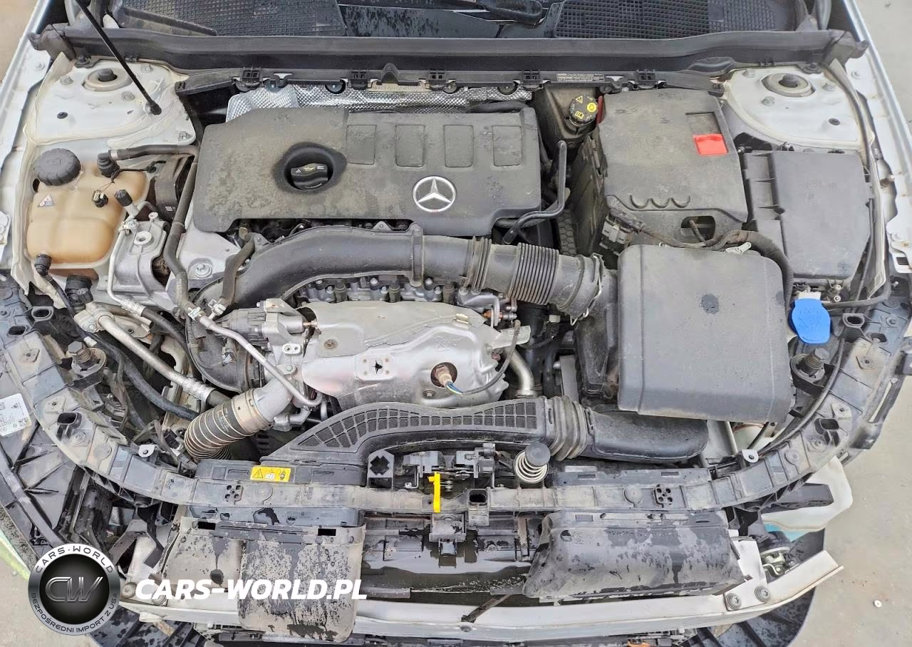 2020 Mercedes-Benz A 220 VIN:WDD3G4EB4LW038753 - 11