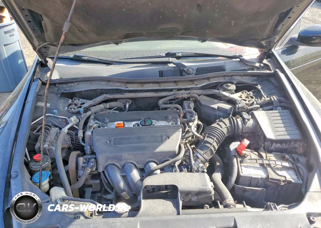 2009 Honda Accord Ex VIN:1HGCP26739A139184 - 11