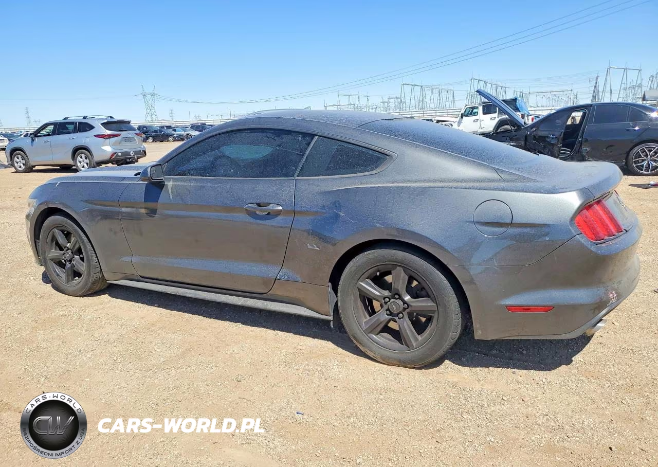 2016 Ford Mustang VIN:1FA6P8AM0G5268572 - 2