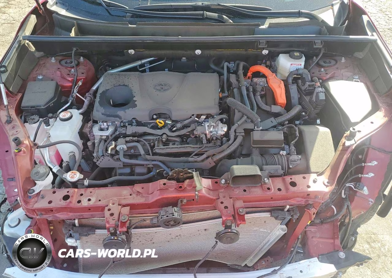 2025 Toyota Rav4 Le VIN:JTMMWRFV1SD314954 - 11