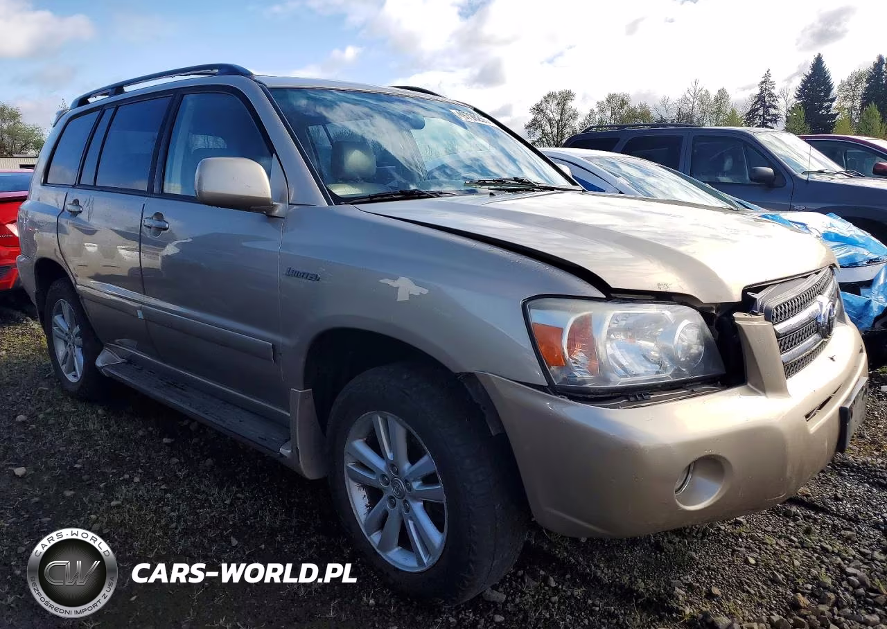 2006 Toyota Highlander Hybrid VIN:JTEEW21A060009809 - 4