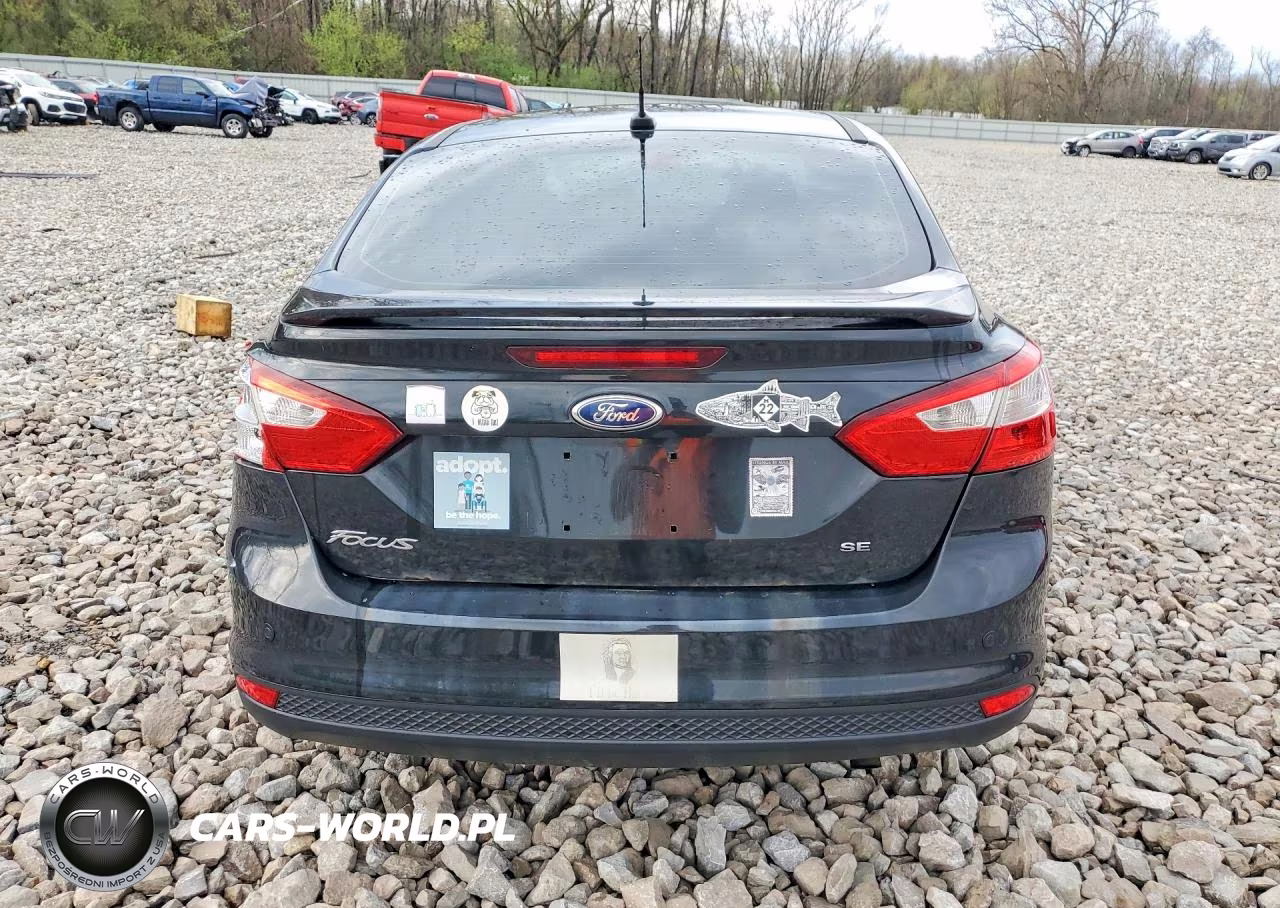 2014 Ford Focus Se VIN:1FADP3F24EL311837 - 6