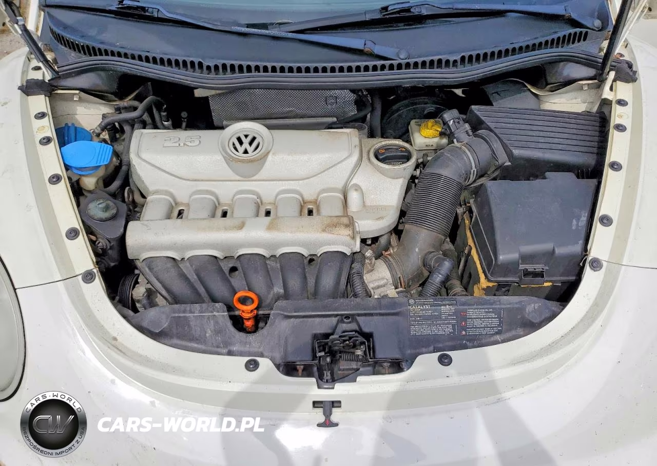 2008 Volkswagen New Beetle Triple White VIN:3VWFG31CX8M510779 - 11