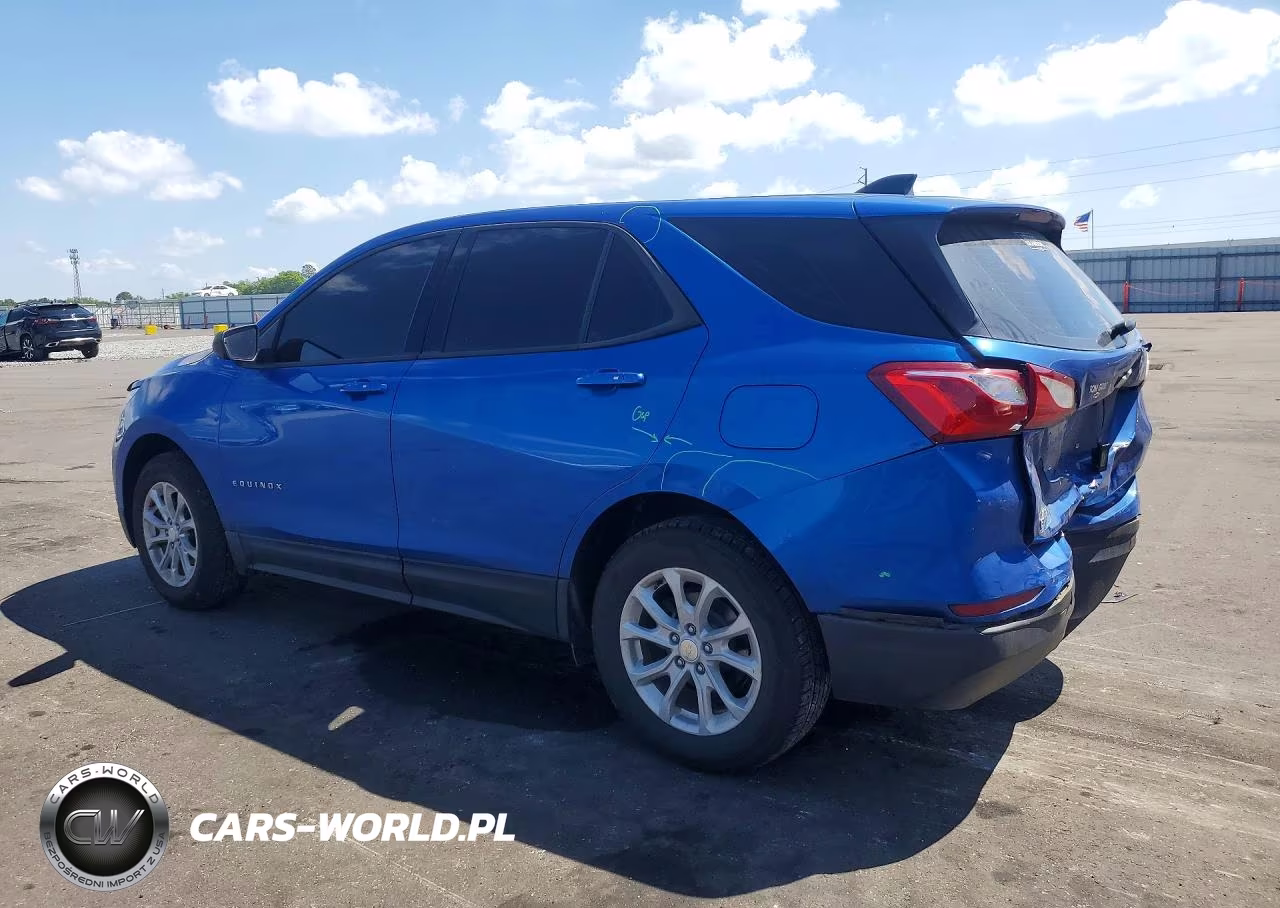 2019 Chevrolet Equinox Ls VIN:3GNAXHEV8KS555350 - 2