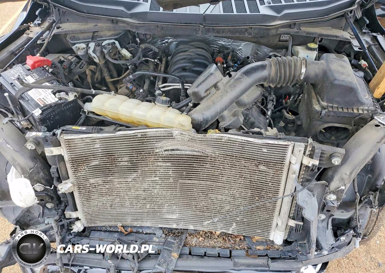 2022 Ford F150 Supercrew VIN:1FTFW1E52NKD95541 - 11