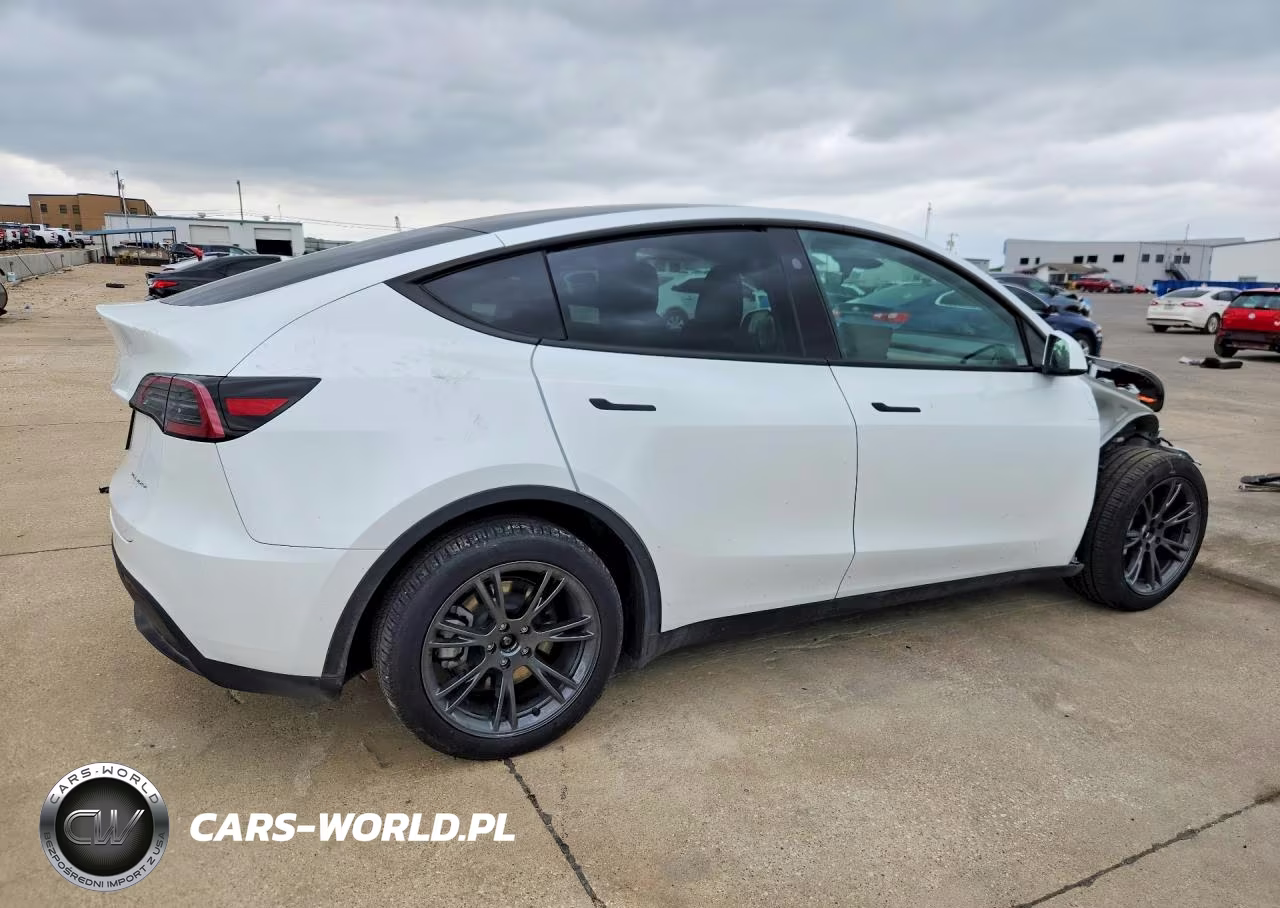 2024 Tesla Model Y VIN:7SAYGDEE3RA333415 - 3
