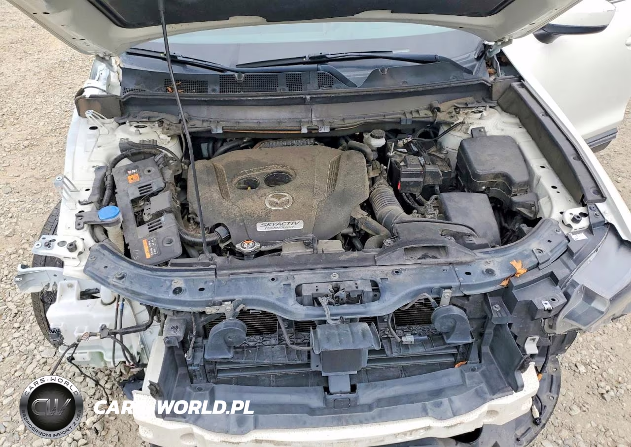 2018 Mazda Cx-9 Signature VIN:JM3TCBEY5J0211024 - 12