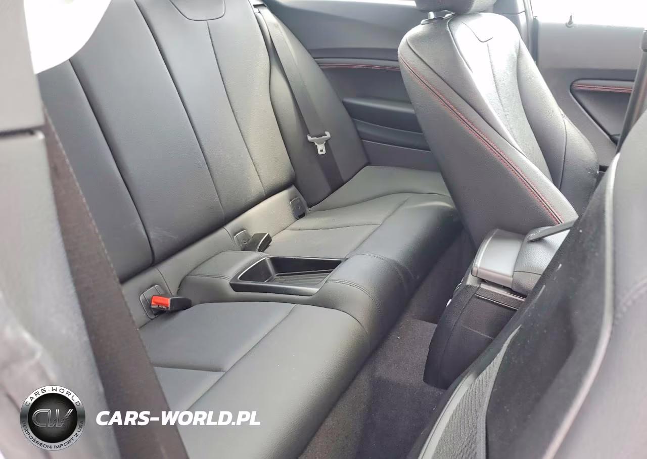 2016 BMW 228 Xi Sulev VIN:WBA1G9C5XGV598622 - 10