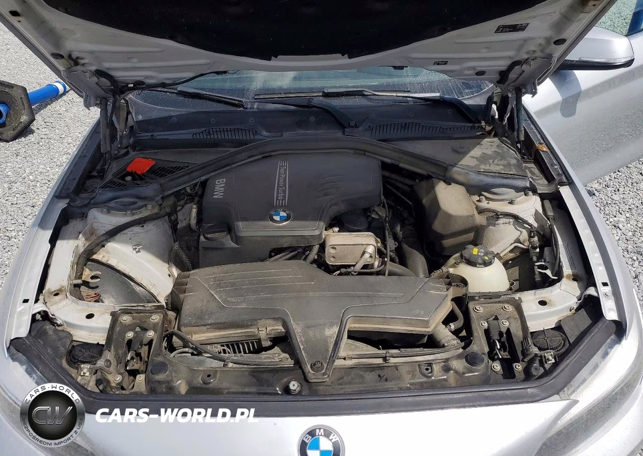 2016 BMW 228 Xi Sulev VIN:WBA1G9C5XGV598622 - 11