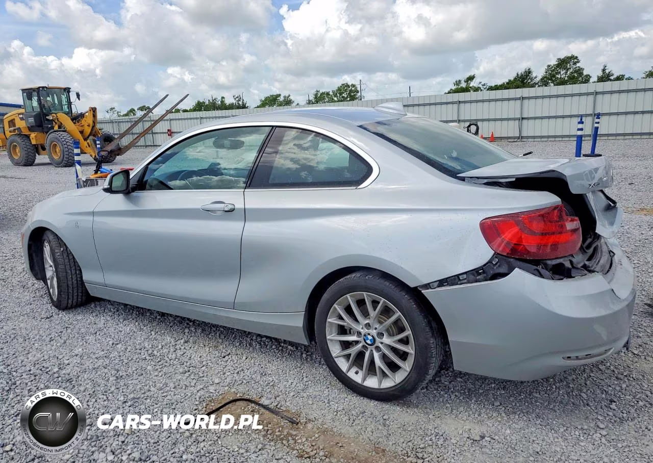 2016 BMW 228 Xi Sulev VIN:WBA1G9C5XGV598622 - 2