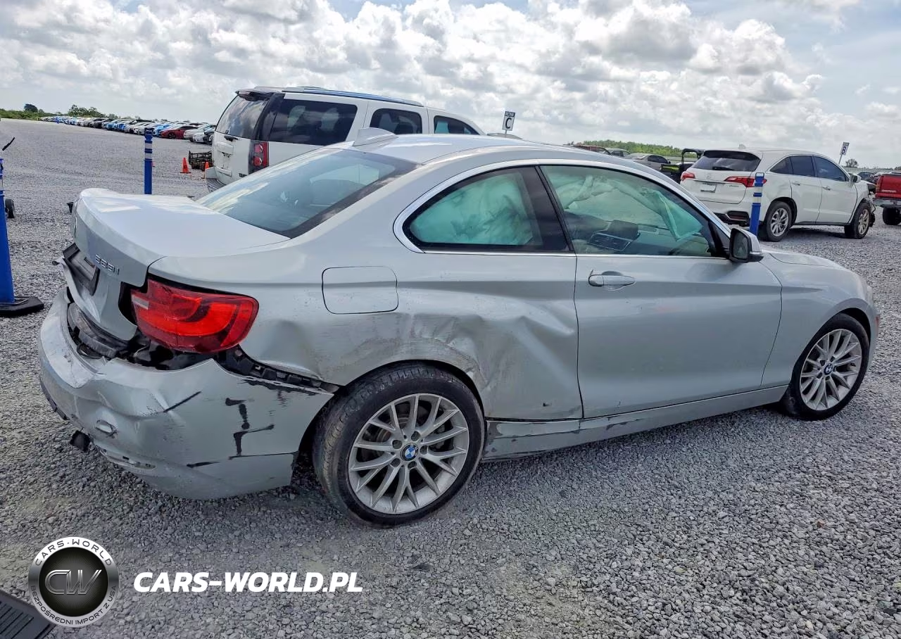 2016 BMW 228 Xi Sulev VIN:WBA1G9C5XGV598622 - 3