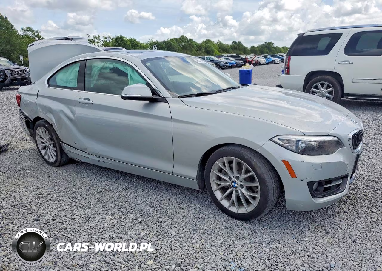 2016 BMW 228 Xi Sulev VIN:WBA1G9C5XGV598622 - 4